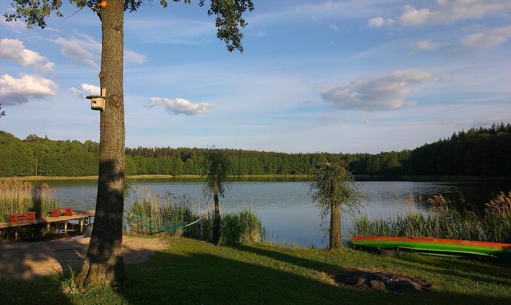 Agro-Tur Domki W Szuwarach Kuty Esterno foto