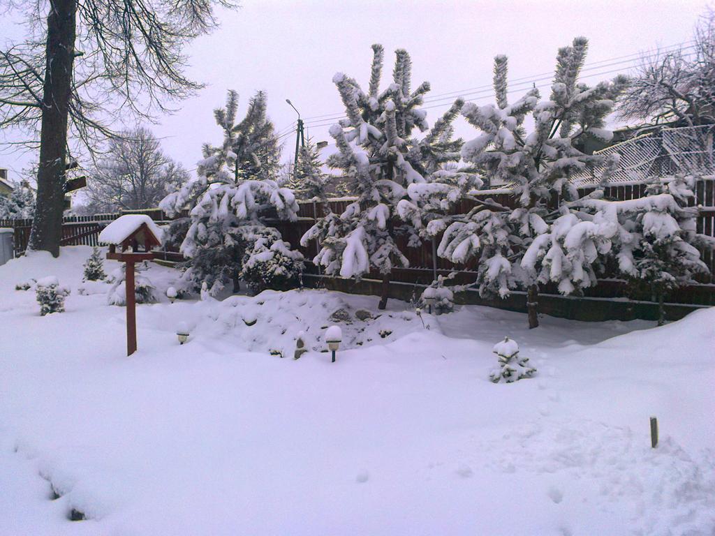 Agro-Tur Domki W Szuwarach Kuty Esterno foto