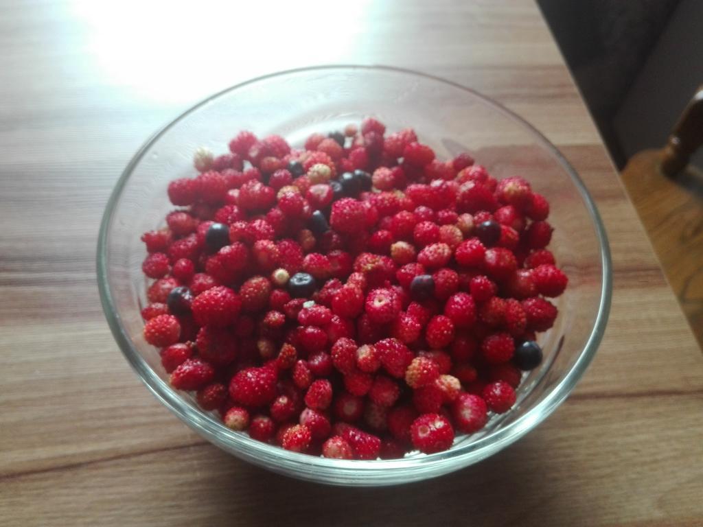 Agro-Tur Domki W Szuwarach Kuty Esterno foto