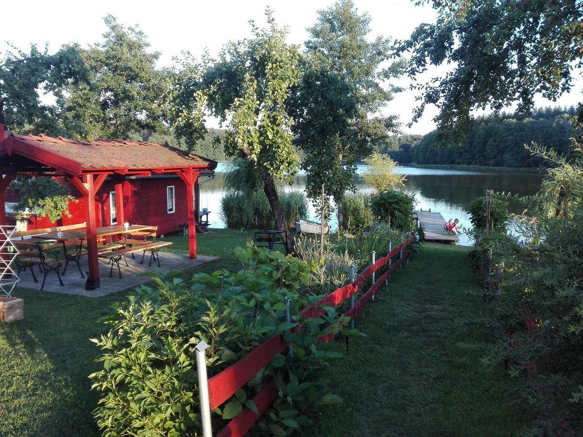 Agro-Tur Domki W Szuwarach Kuty Esterno foto