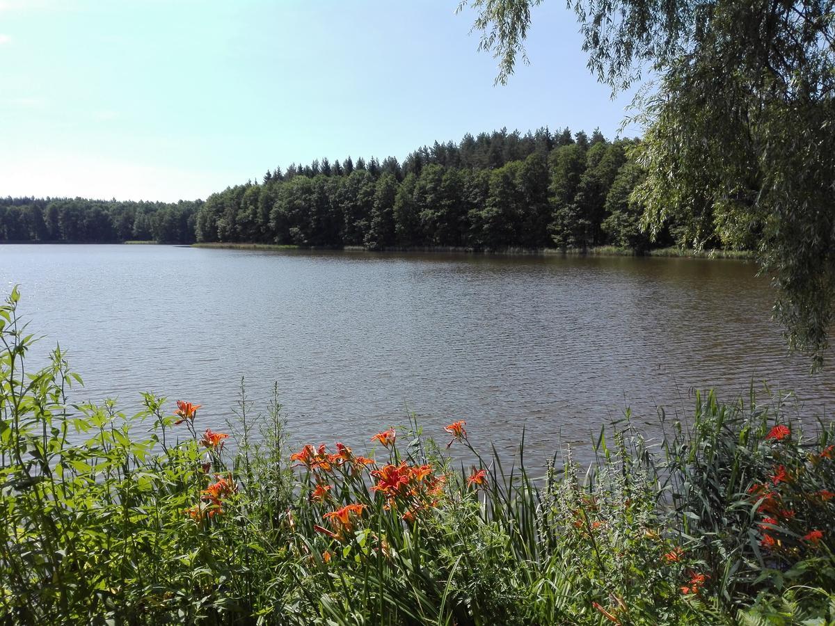 Agro-Tur Domki W Szuwarach Kuty Esterno foto