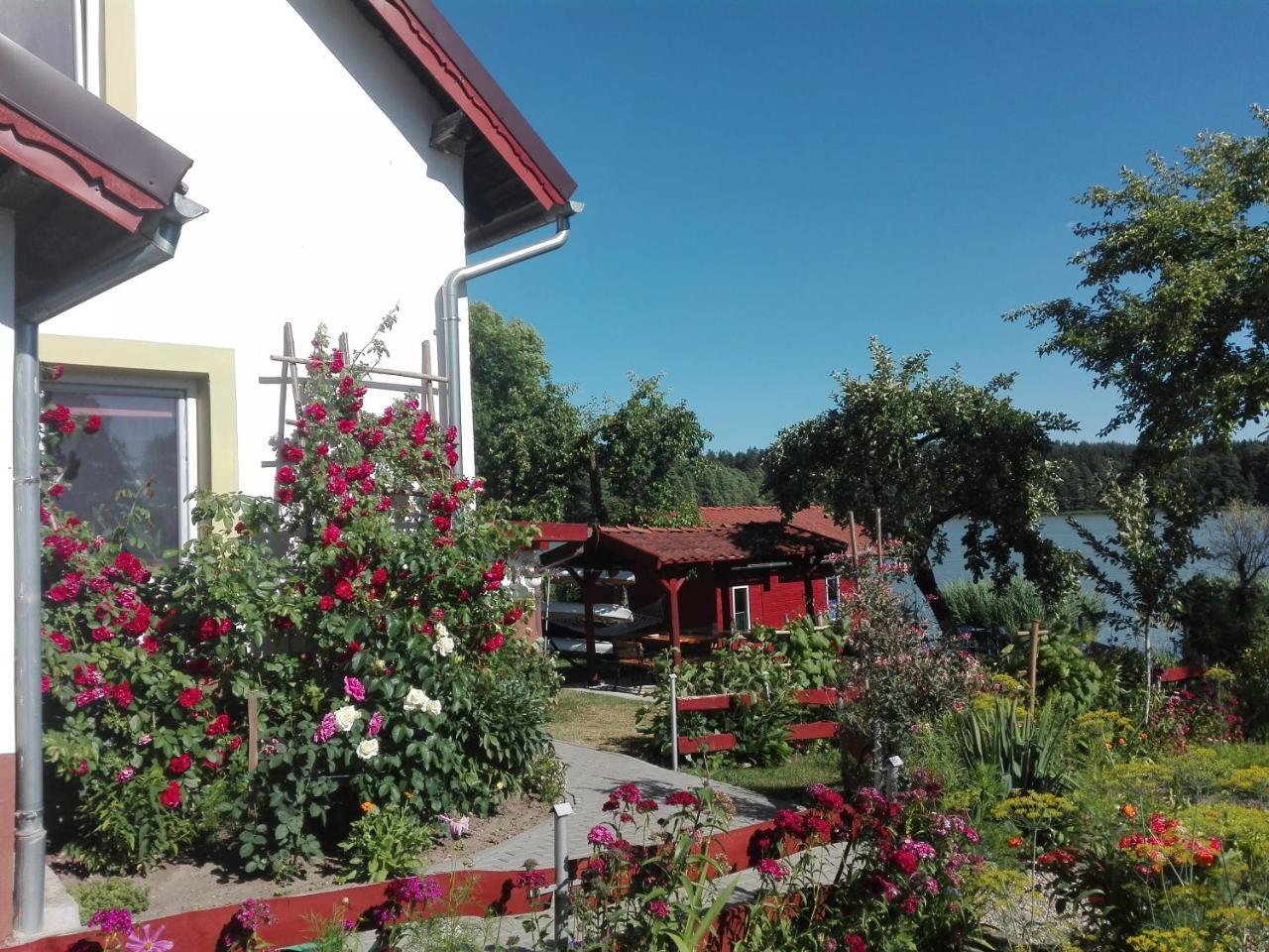 Agro-Tur Domki W Szuwarach Kuty Esterno foto